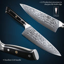 F.YOUNG 8-Inch Professional Chef’s Knife – Japanese 67-Layer Damascus Steel with VG10 Core, Ultra-Sharp for Meat & Vegetables