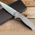 Flipper Knife D2 For outdoor hunting knife